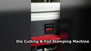 Hochdruck-Stanz- und Folienprägemaschine