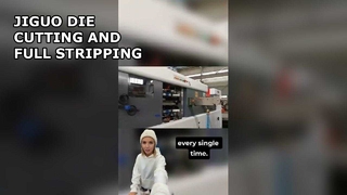 Automatische Stanz- und Abisoliermaschine JIGUO (FULL STRIPPING).