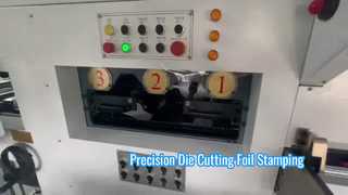 JIGUO TMY-800H Automatische Stanz- und Folienprägemaschine